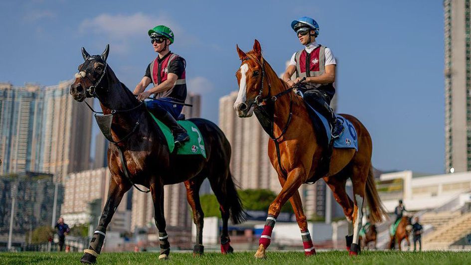Al Riffa (left) and stablemate Galen at Sha Tin (Alex Evers for HKJC)