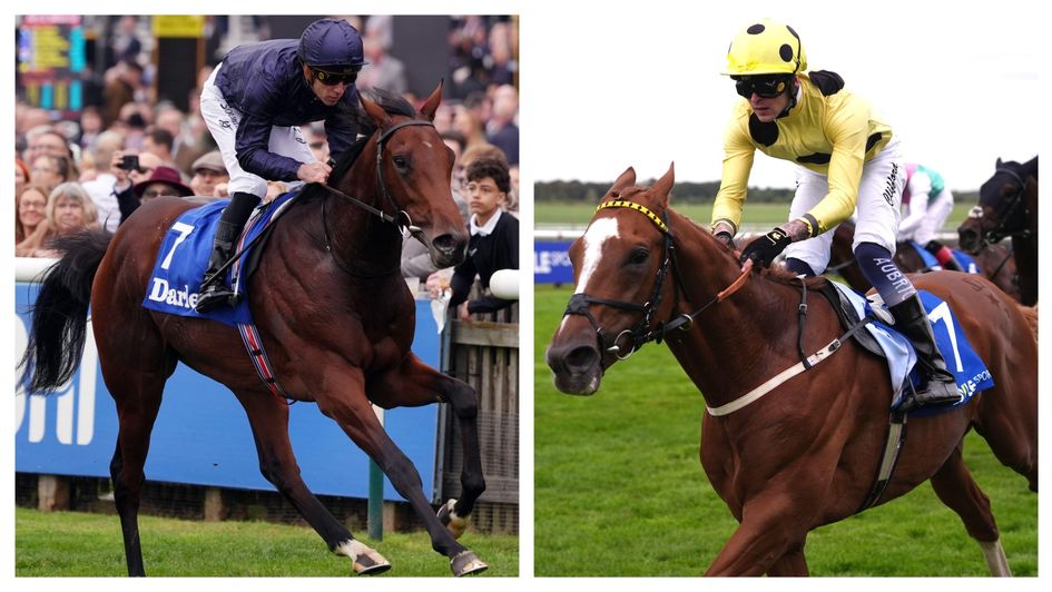 Pierre Bonnard and Zeus Olympios can have big years in 2026