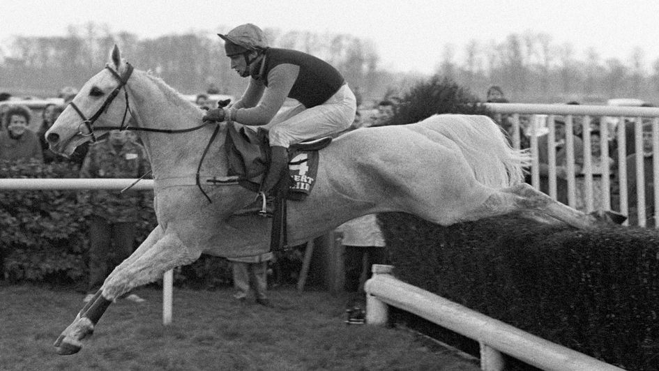 Desert Orchid and Simon Sherwood in full flight in 1988