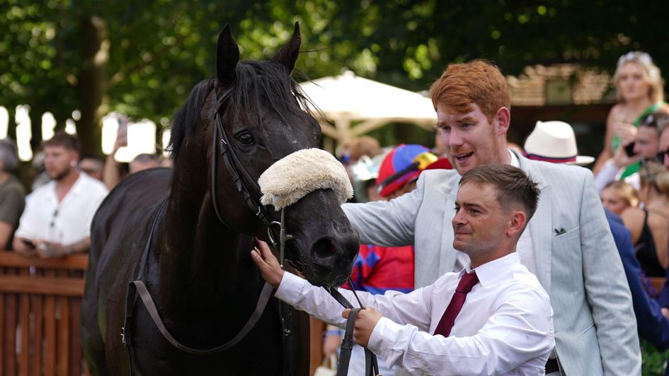 Big Mojo after his fine run in the July Cup