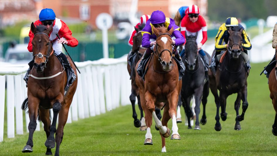Esquire (left) comes home in front in the Greenham