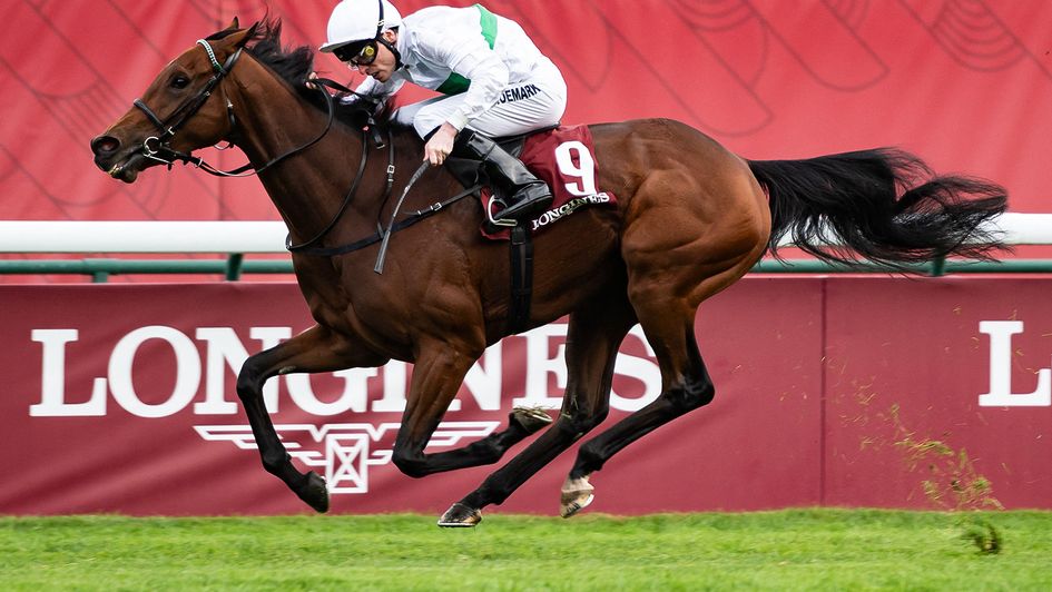 Friendly Soul in winning form at Longchamp