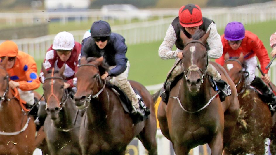 Eternal Silence (right) was third to Tahiyra in the Moyglare