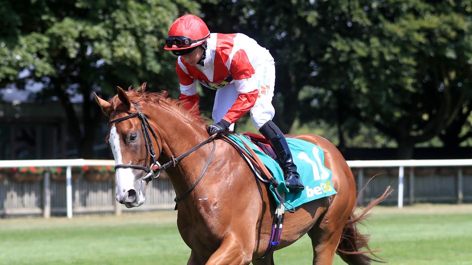 Kimifive - leading chance at Ripon