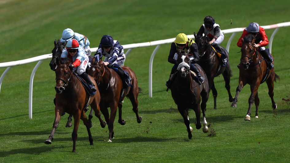 Grey Gray and Hollie Doyle - one of the winning selections