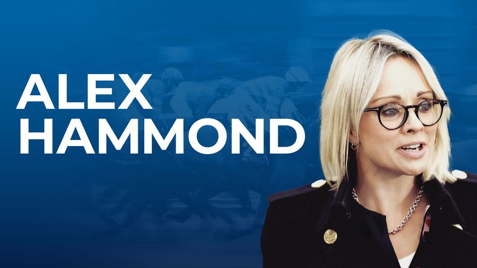 Alex Hammond Blog
