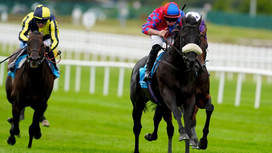 Big Mojo wins at the Curragh
