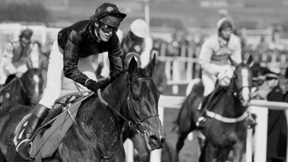 A deserved win for Hello Dandy