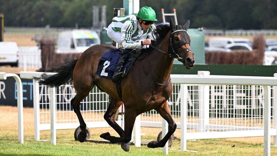 Miss Scott wins at Newbury