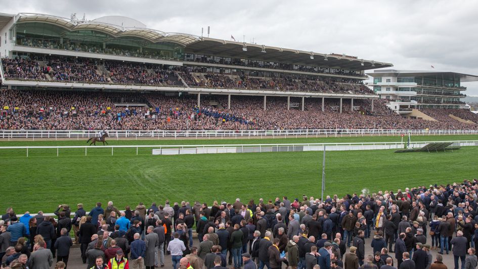 Racegoers are returning to the Cheltenham Festival