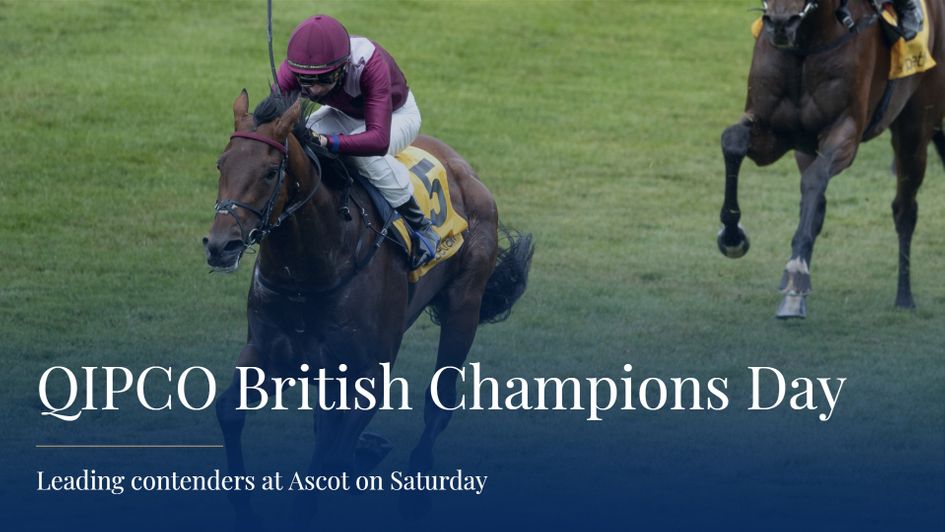 Champions Stakes contender Mishriff is one of the most exciting entries