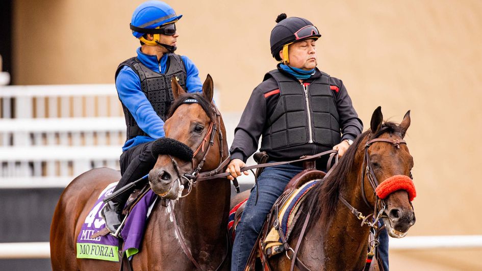Mo Forza takes in his surroundings at Del Mar