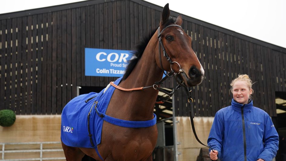 Cheltenham Festival hope Scarface