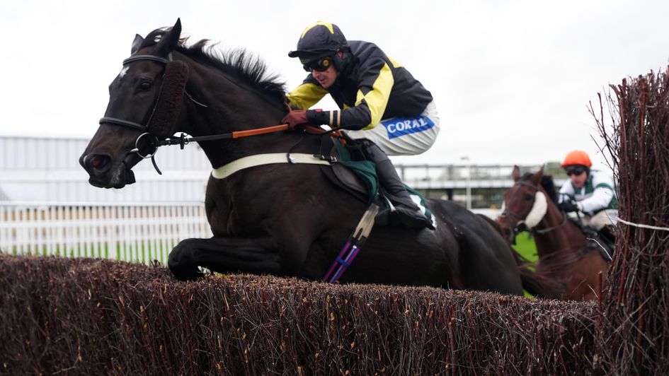 JPR One has the measure of Calico at Cheltenham