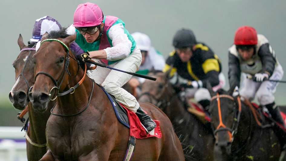 Westover made an impressive debut at Sandown