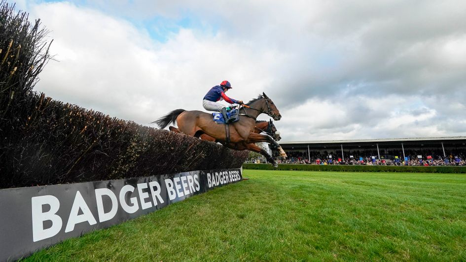 Captain Tom Cat in action at Wincanton