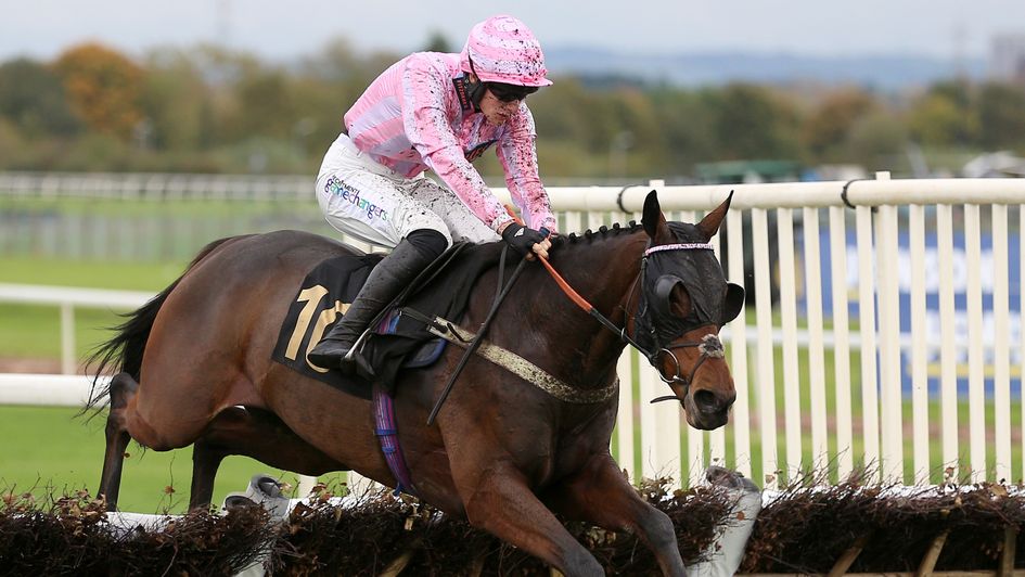 Honor Grey ridden by Luca Morgan wins