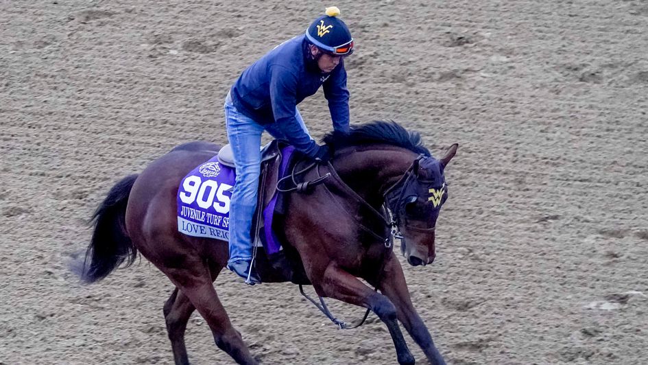 Love Reigns limbering up for the Breeders' Cup Turf Sprint