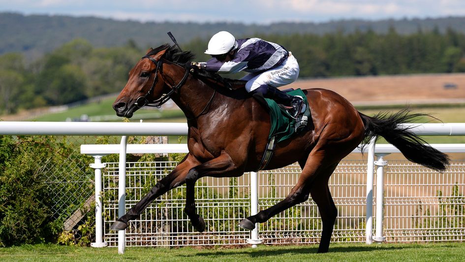 Enceladus strides out in the Goodwood sunshine