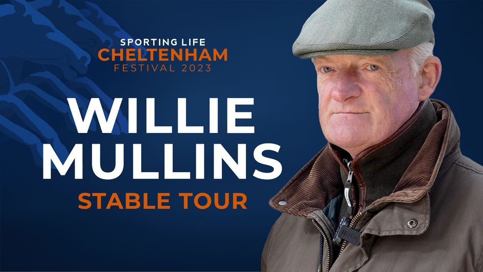 Willie Mullins Cheltenham Stable Tour