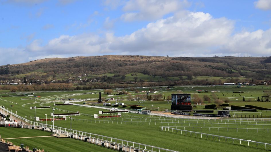 The scene at Cheltenham on Monday