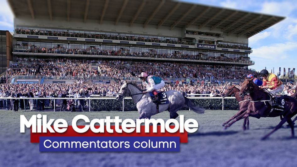 Check out the latest Mike Cattermole column