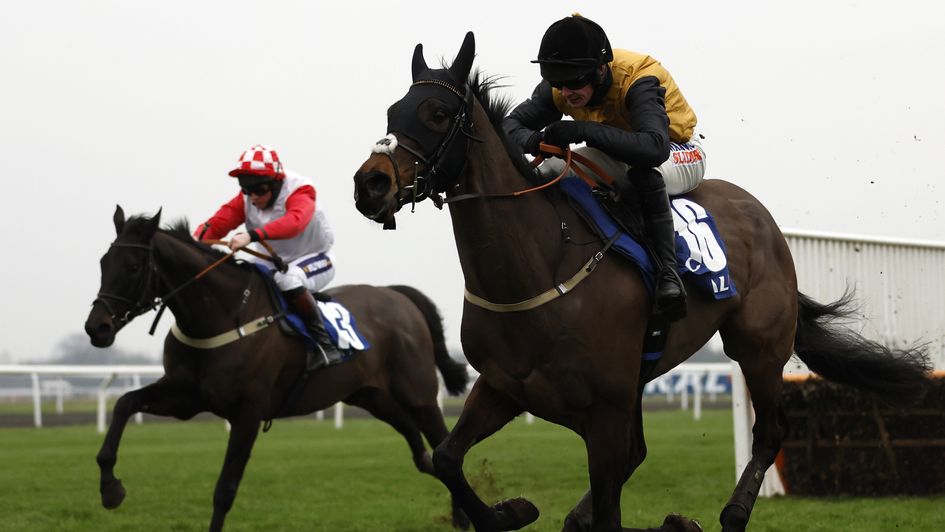 Cobblers Dream is in charge of the Lanzarote