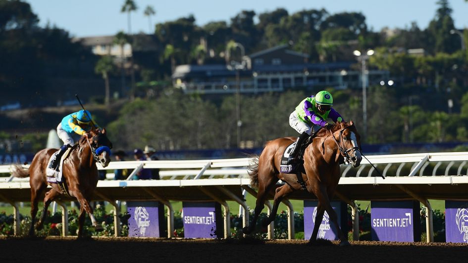 Good Magic cruises to victory in the Juvenile