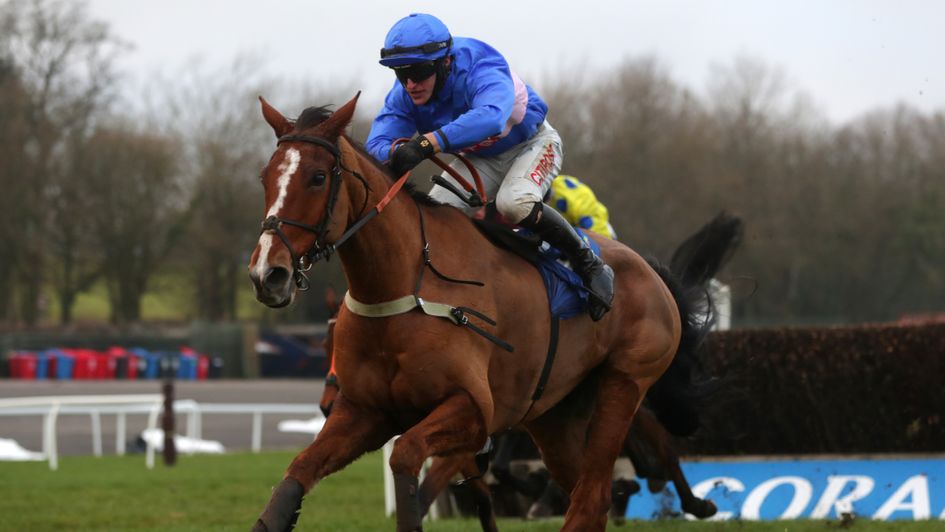 Welsh Grand National winner Secret Reprieve