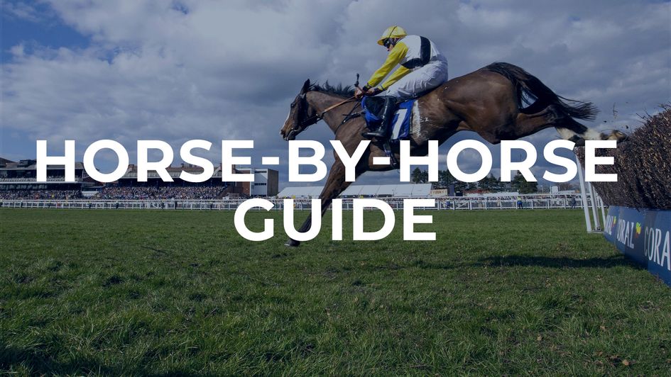 Check out our horse-by-horse guide to the Scottish Grand National