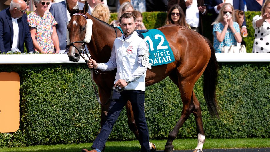 She's Quality: Sadly lost her life at the Breeders' Cup