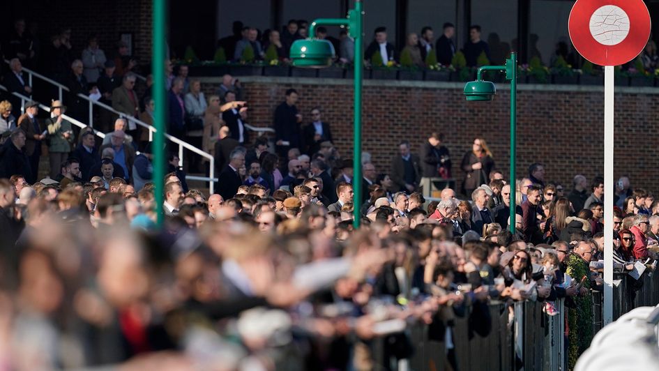 Who will the Kempton crowd be cheering home on Boxing Day?