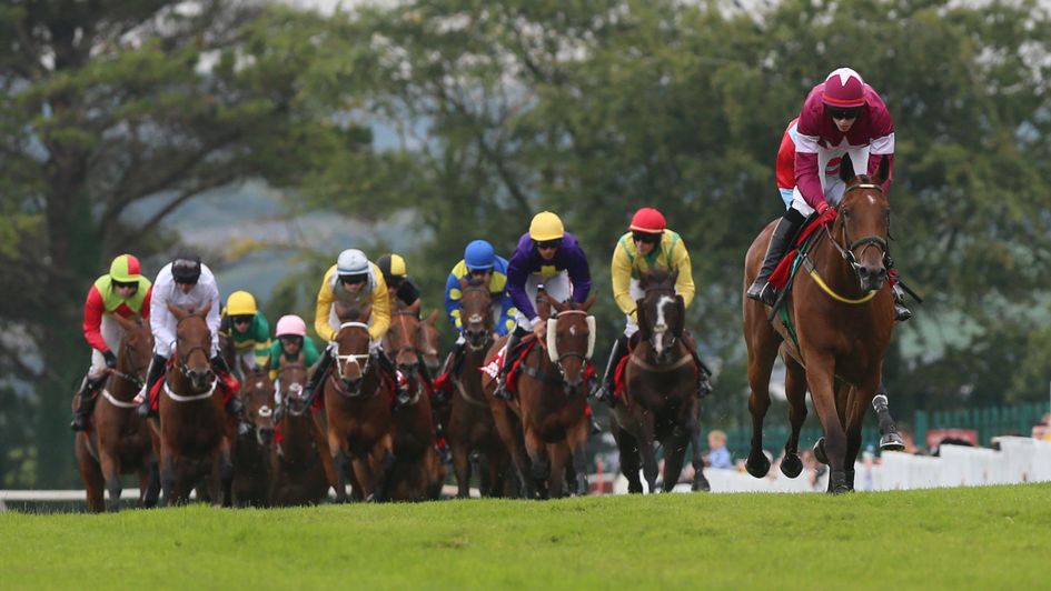 Road To Riches comes home clear in the 2014 Galway Plate