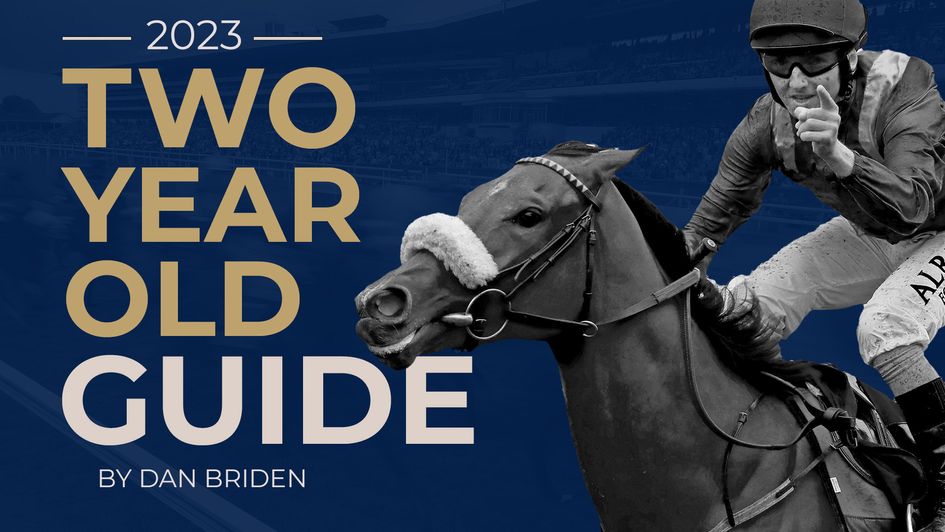 Dan Briden Two-Year-Old Guide