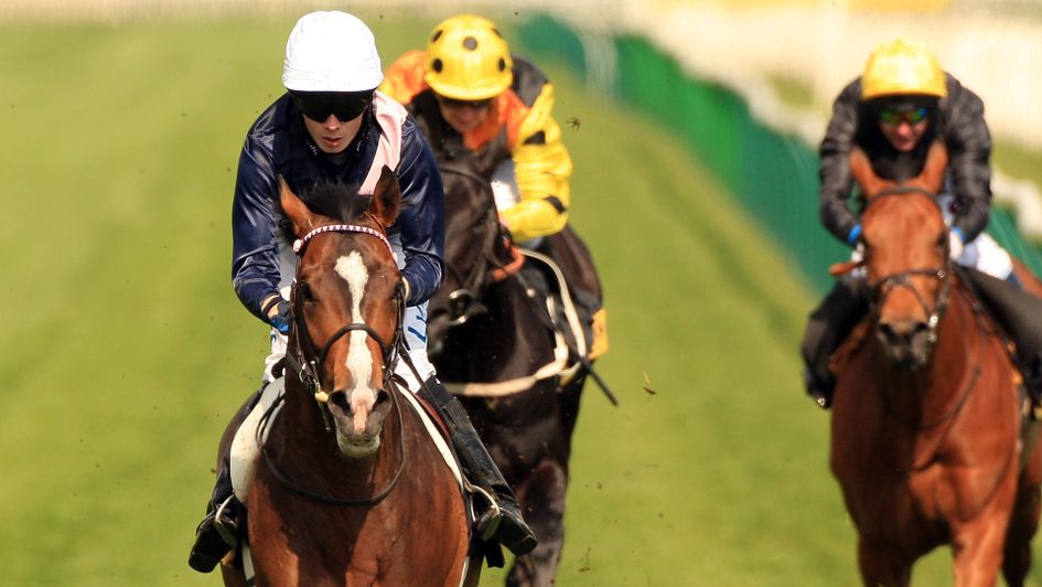 Curtain Call went oon to win races for Luca Cumani