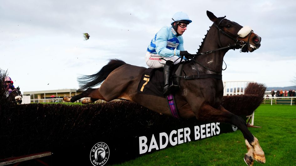 Gustavian on his way to Badger Beers success