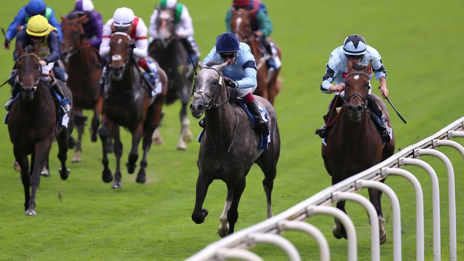 Horse Racing Insight Oisin Murphy On His Saturday Goodwood Rides More