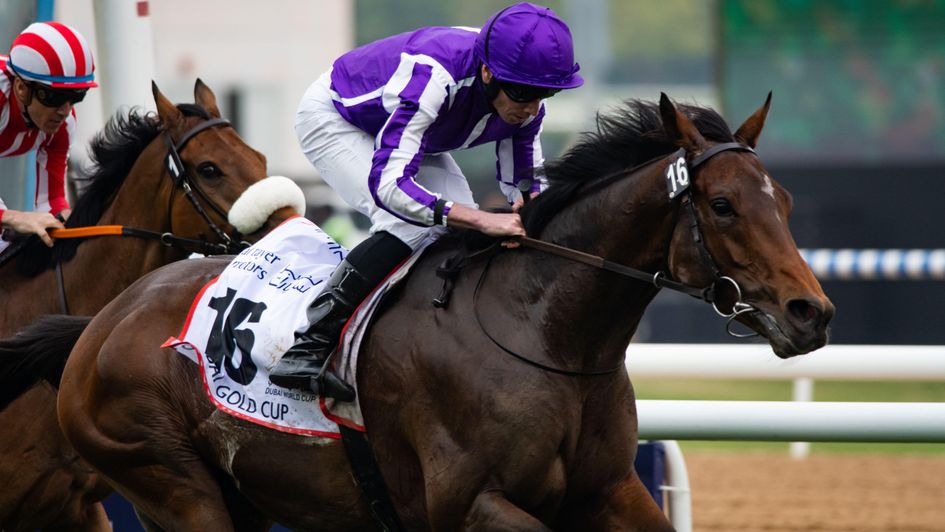 Tower Of London wins in Dubai