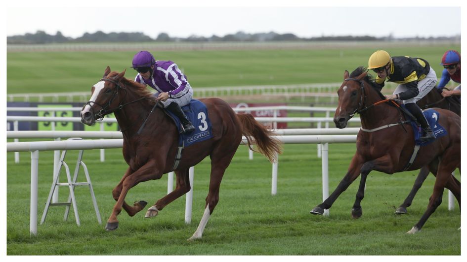 Noble Exhibit lands the Beresford