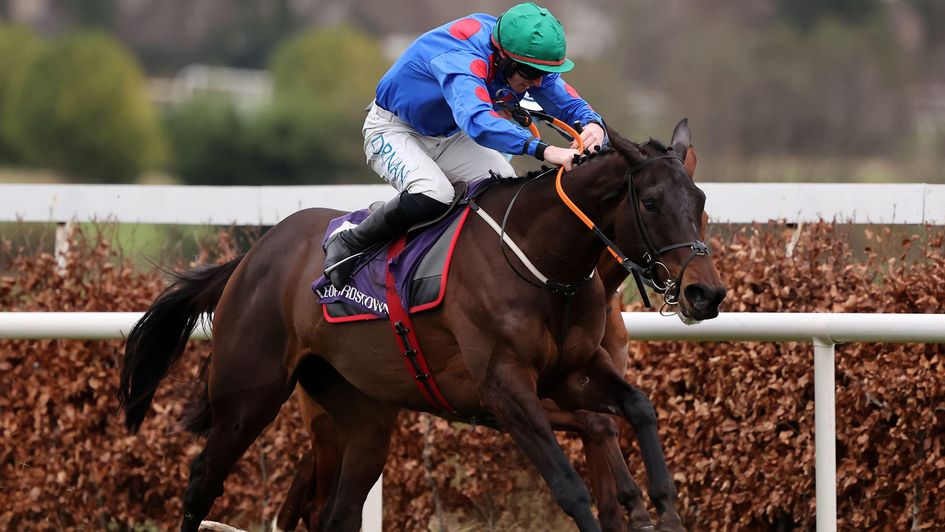 Wodhooh wins at Leopardstown