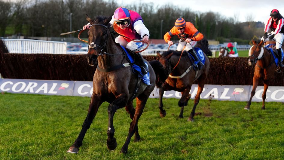 Haiti Couleurs wins the Welsh National