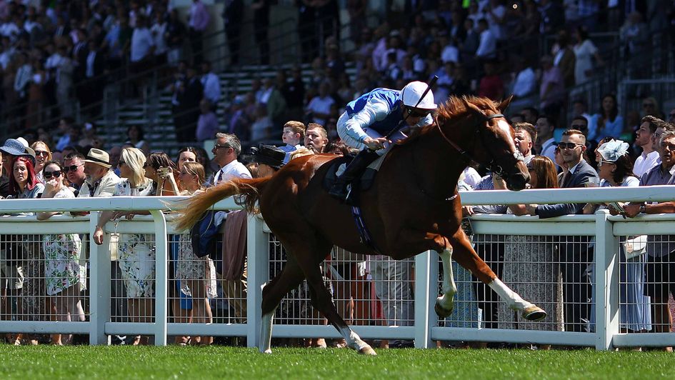 Defence Of Fort impresses on debut