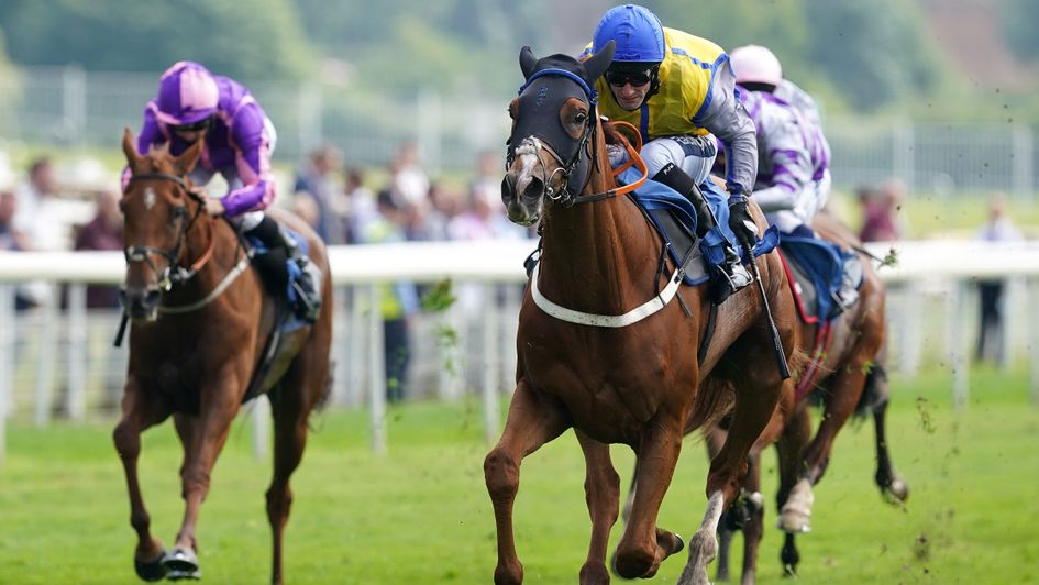 Goobinator strikes for Donald McCain