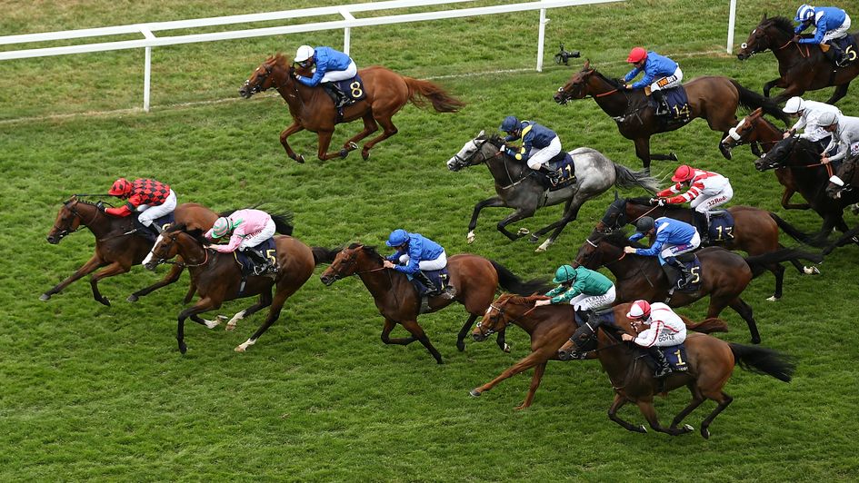 Snoano wins the Wolferton from Majeed with Scarlet Dragon widest of all