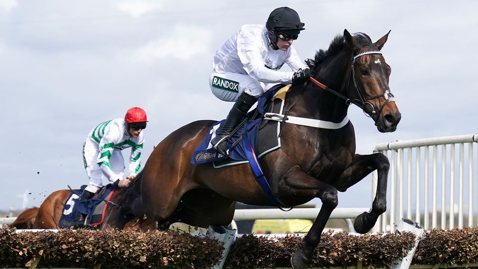 Constitution Hill: Has he done all there is to be achieved as a hurdler?