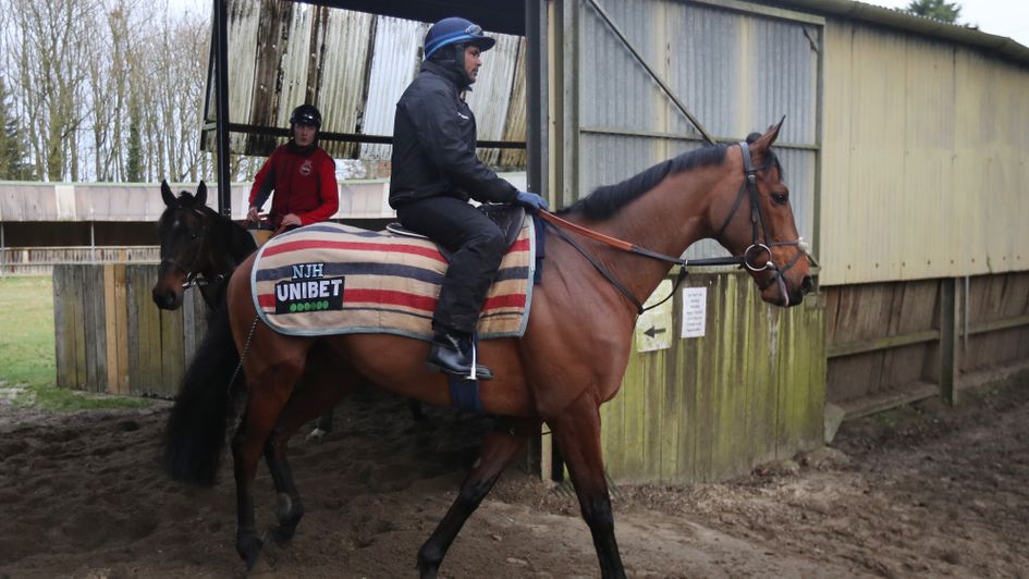 Champ pictured at Nicky Henderson's yard