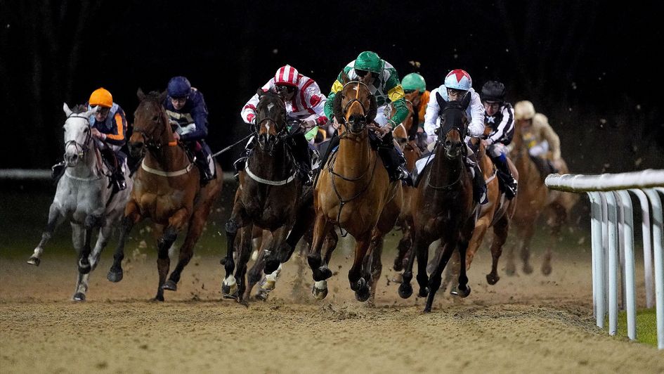 Horses in action at Wolverhampton