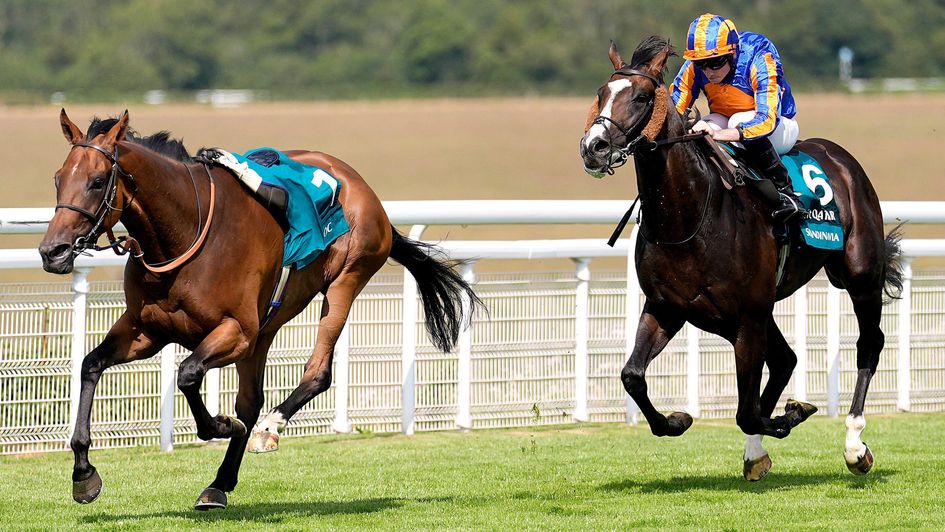 The riderless Amiloc leads Scandinavia home