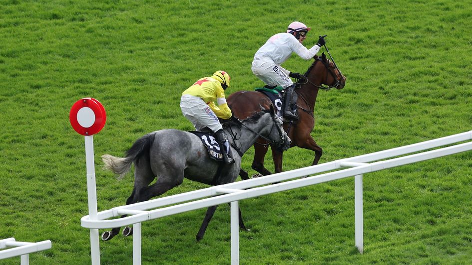 Paul Townend and the ride of the week aboard Absurde