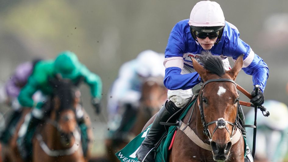 A sparkling British debut from Solo